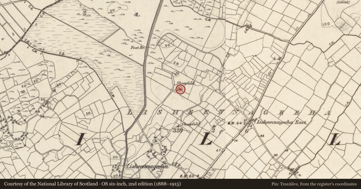 Ordnance Survey six-inch map, 2nd edition (1888–1915) covering the location of Children's burial ground, Lisheennageeha, County Galway, with a pin at the register's coordinates