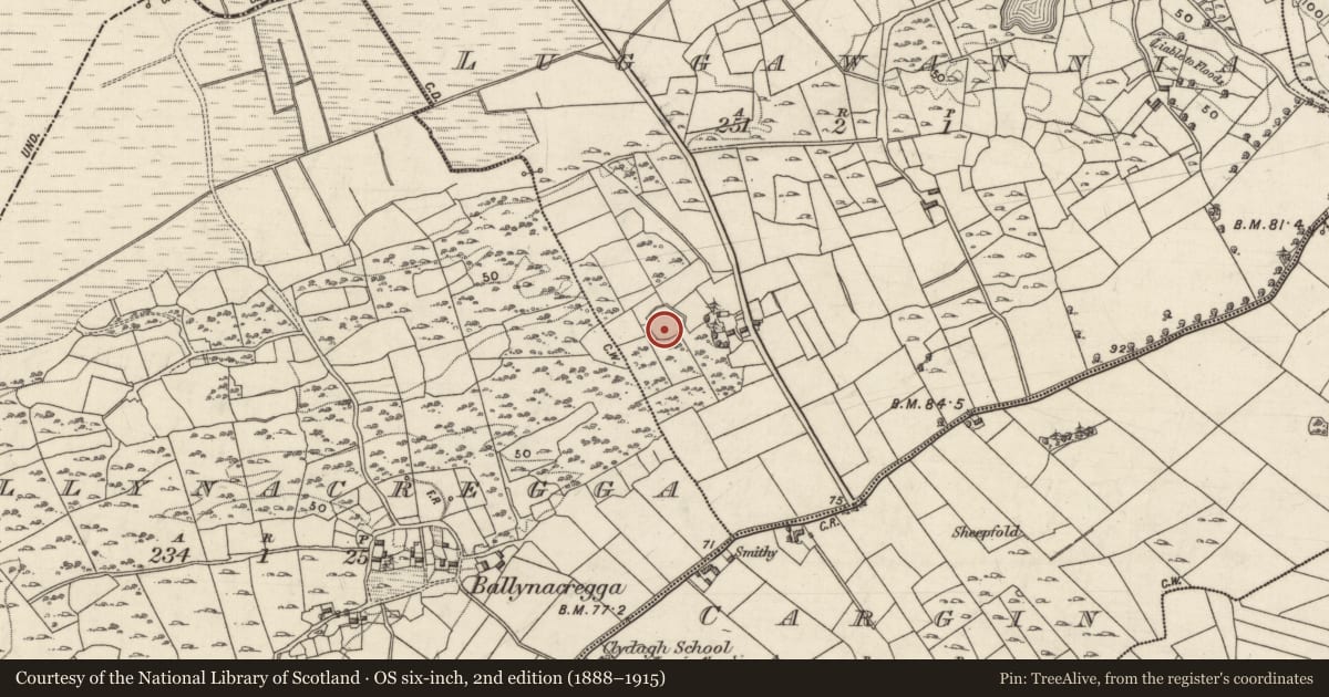 Ordnance Survey six-inch map, 2nd edition (1888–1915) covering the location of Ringfort - unclassified, Luggawannia, County Galway, with a pin at the register's coordinates