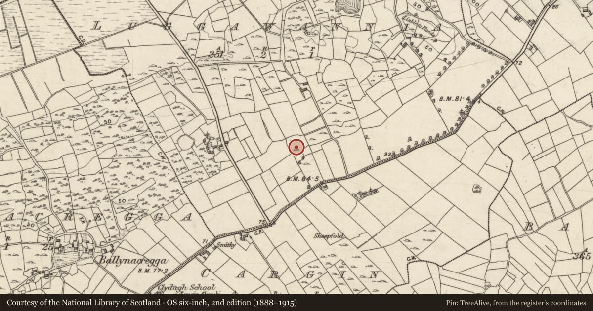 Ordnance Survey six-inch map, 2nd edition (1888–1915) covering the location of Ringfort - cashel, Luggawannia, County Galway, with a pin at the register's coordinates