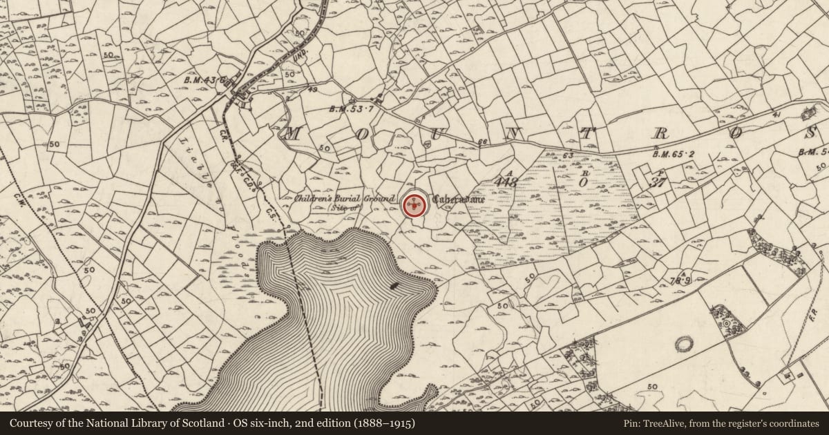Ordnance Survey six-inch map, 2nd edition (1888–1915) covering the location of Ringfort - unclassified, Mountross, County Galway, with a pin at the register's coordinates