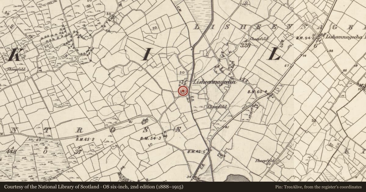 Ordnance Survey six-inch map, 2nd edition (1888–1915) covering the location of Ringfort - unclassified, Mountross, County Galway, with a pin at the register's coordinates
