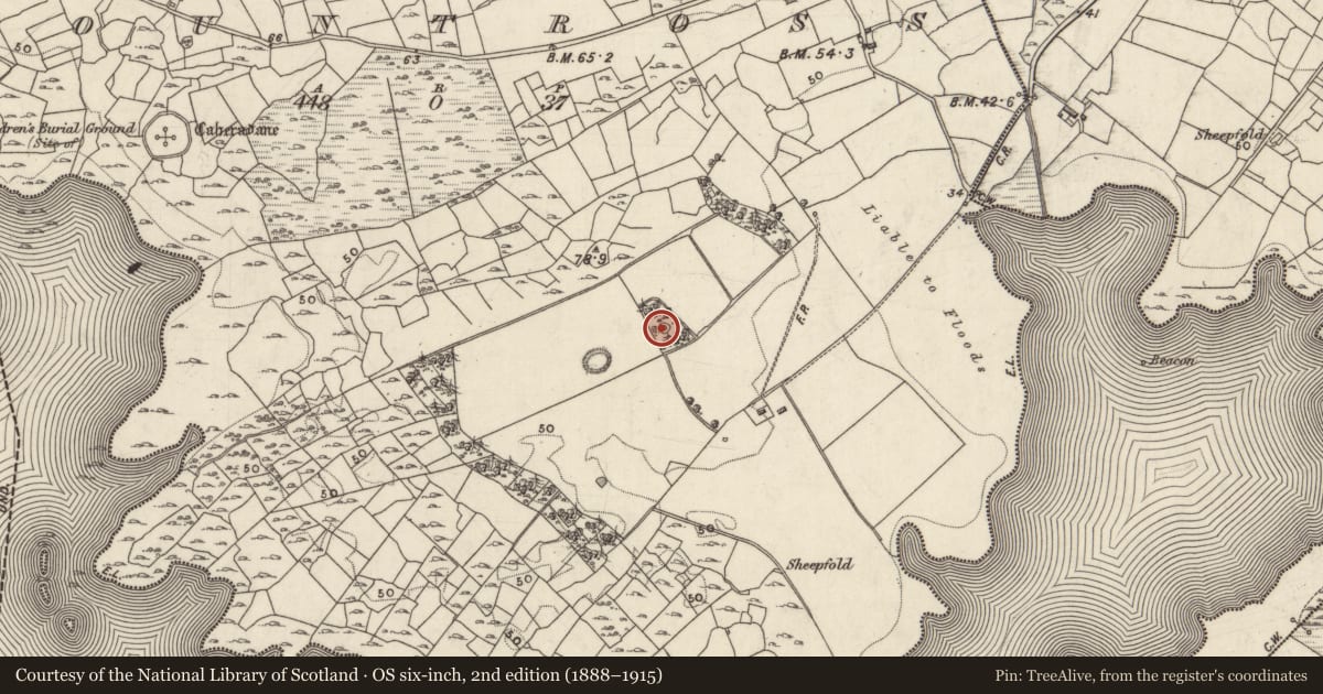 Ordnance Survey six-inch map, 2nd edition (1888–1915) covering the location of Designed landscape - folly, Mountross, County Galway, with a pin at the register's coordinates