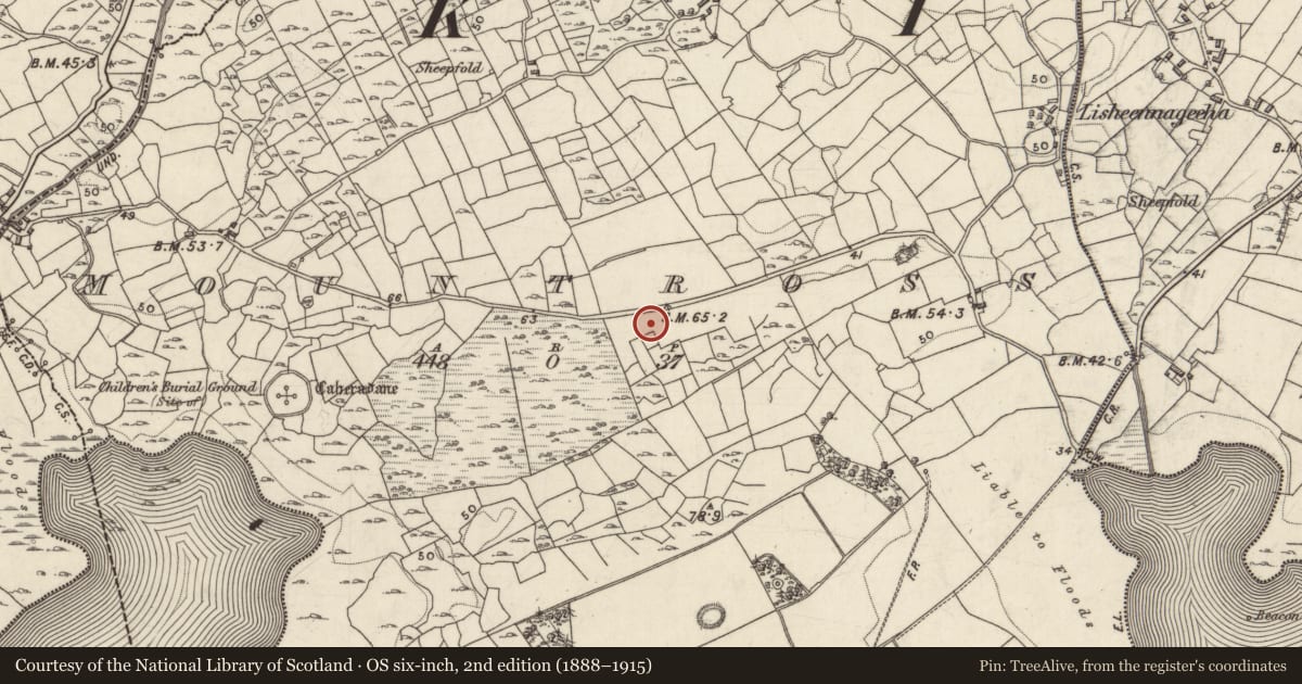 Ordnance Survey six-inch map, 2nd edition (1888–1915) covering the location of Mass-rock, Mountross, County Galway, with a pin at the register's coordinates