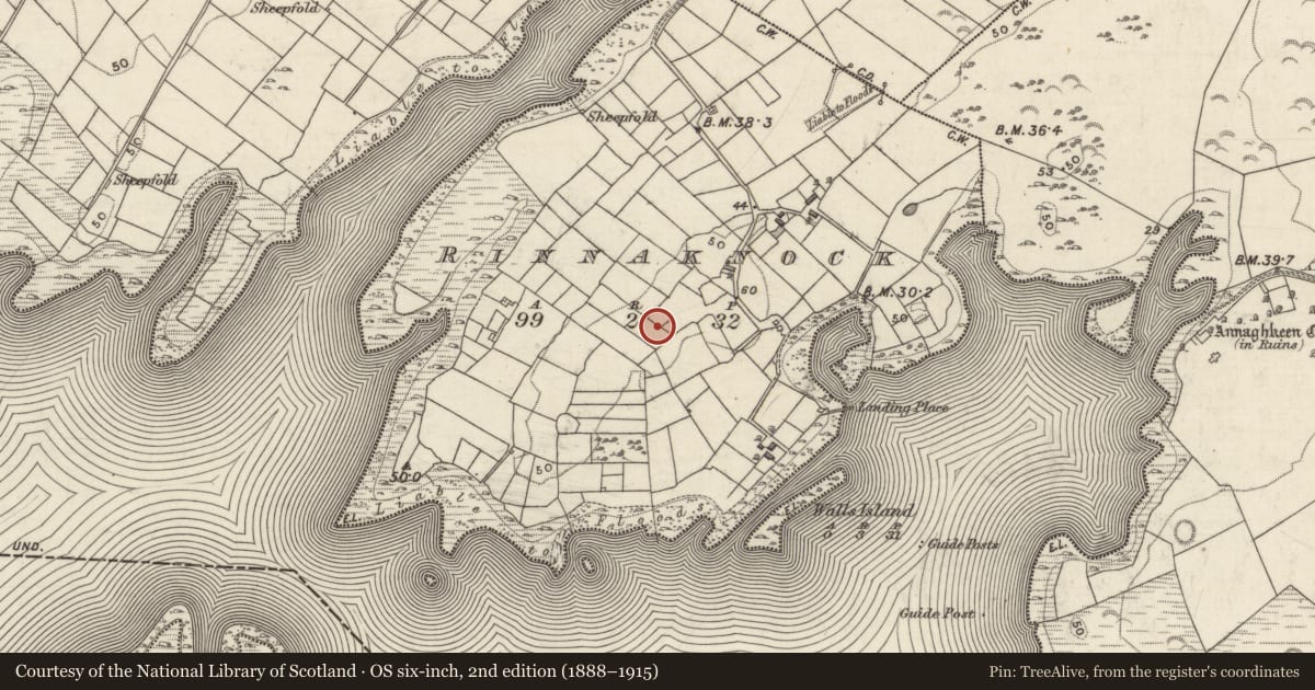 Ordnance Survey six-inch map, 2nd edition (1888–1915) covering the location of Enclosure, Rinnaknock, County Galway, with a pin at the register's coordinates