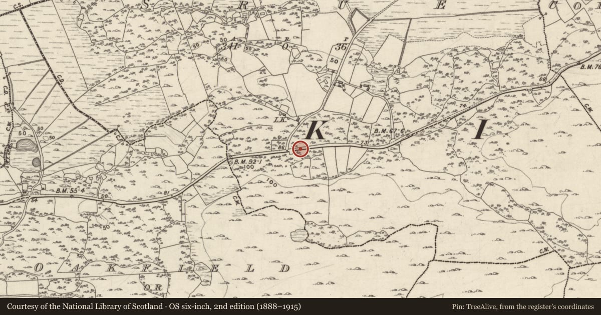 Ordnance Survey six-inch map, 2nd edition (1888–1915) covering the location of Ringfort - unclassified, Srue, County Galway, with a pin at the register's coordinates