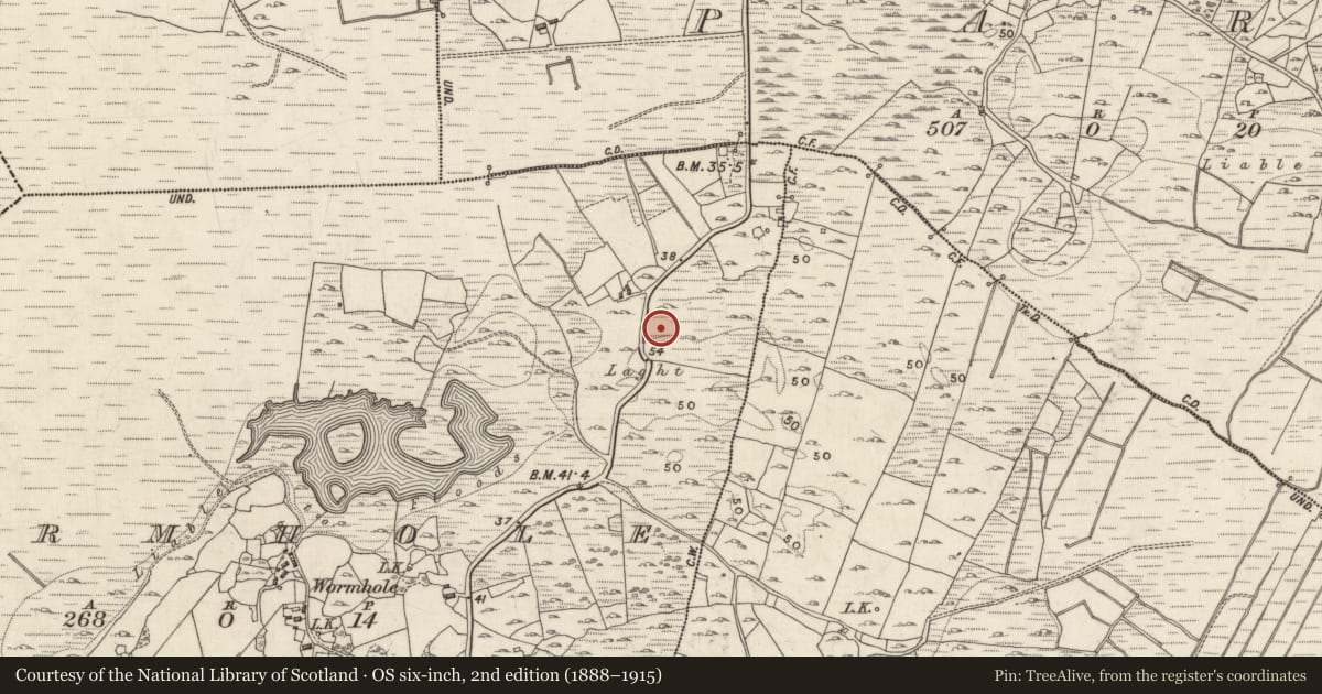 Ordnance Survey six-inch map, 2nd edition (1888–1915) covering the location of Cairn - wayside cairn, Wormhole, County Galway, with a pin at the register's coordinates