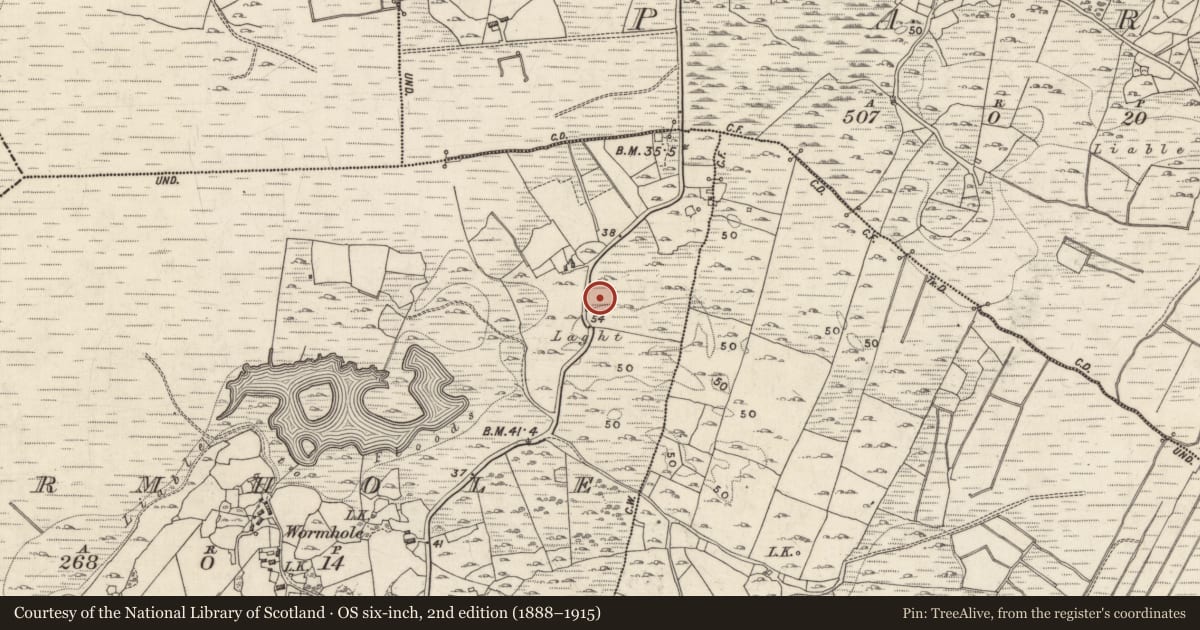 Ordnance Survey six-inch map, 2nd edition (1888–1915) covering the location of Cairn - wayside cairn, Wormhole, County Galway, with a pin at the register's coordinates