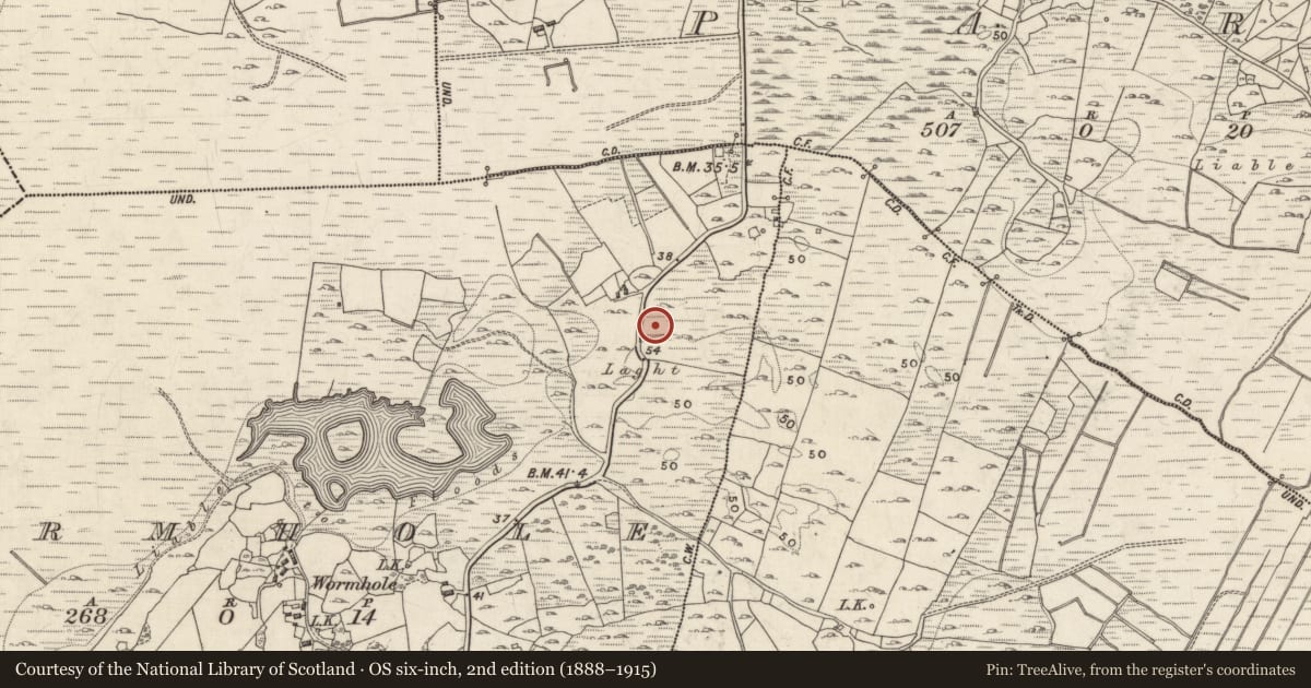 Ordnance Survey six-inch map, 2nd edition (1888–1915) covering the location of Cairn - wayside cairn, Wormhole, County Galway, with a pin at the register's coordinates