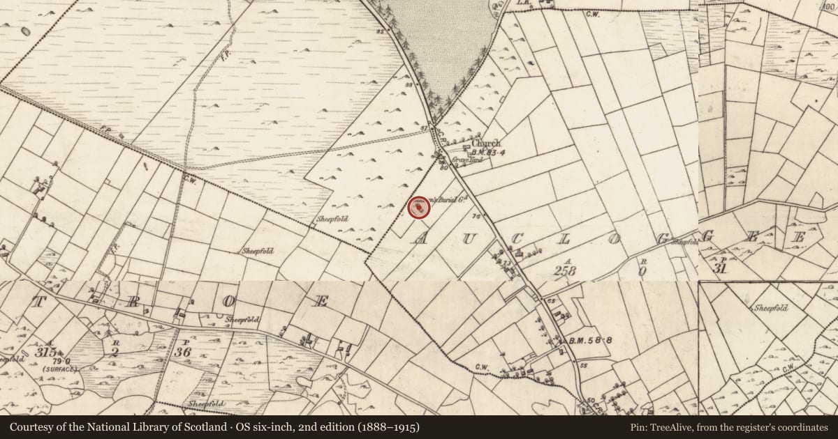 Ordnance Survey six-inch map, 2nd edition (1888–1915) covering the location of Children's burial ground, Aucloggeen, County Galway, with a pin at the register's coordinates