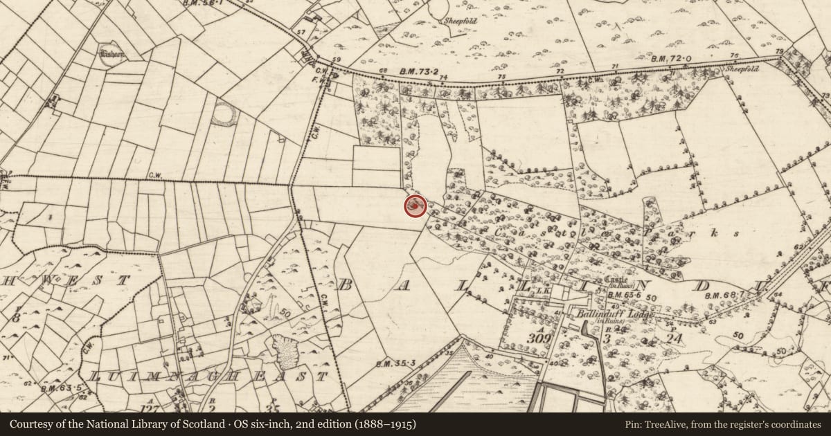 Ordnance Survey six-inch map, 2nd edition (1888–1915) covering the location of Designed landscape feature, Ballinduff, County Galway, with a pin at the register's coordinates