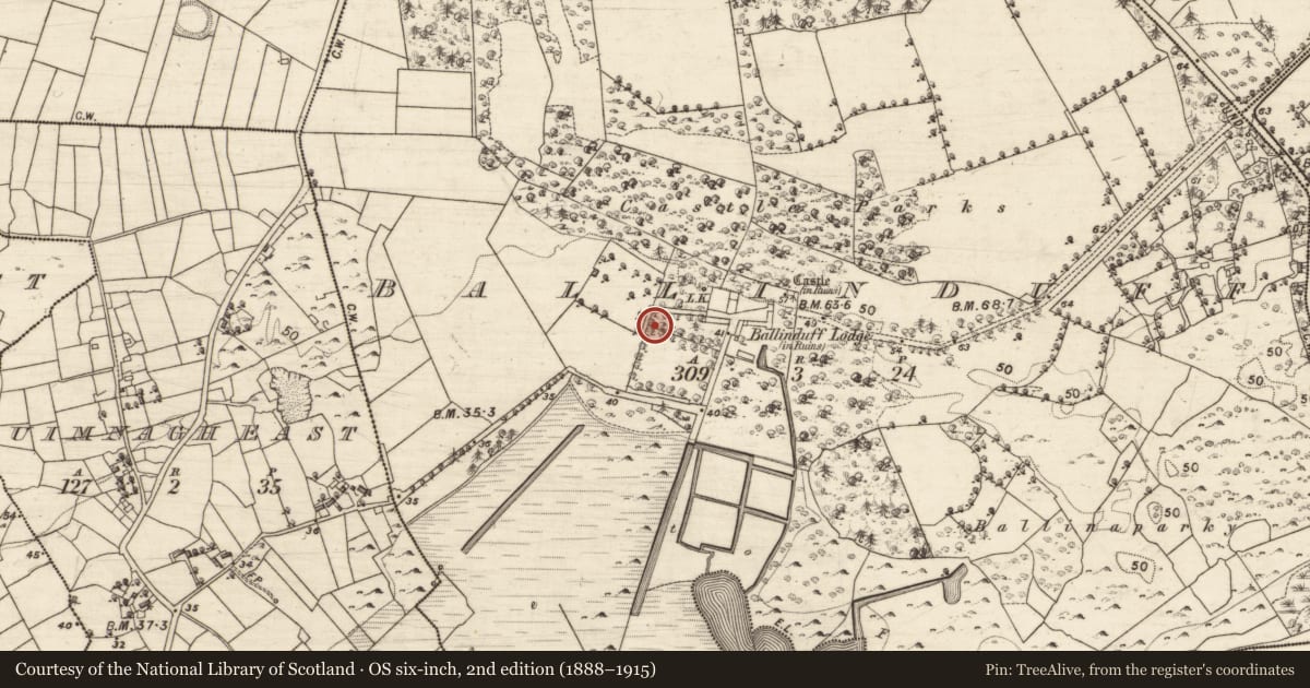 Ordnance Survey six-inch map, 2nd edition (1888–1915) covering the location of House - 18th/19th century, Ballinduff, County Galway, with a pin at the register's coordinates