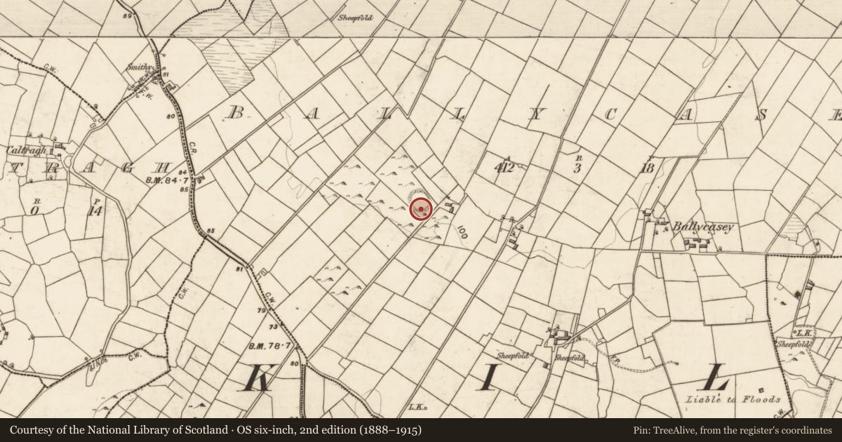 Ordnance Survey six-inch map, 2nd edition (1888–1915) covering the location of Ringfort - unclassified, Ballycasey, County Galway, with a pin at the register's coordinates