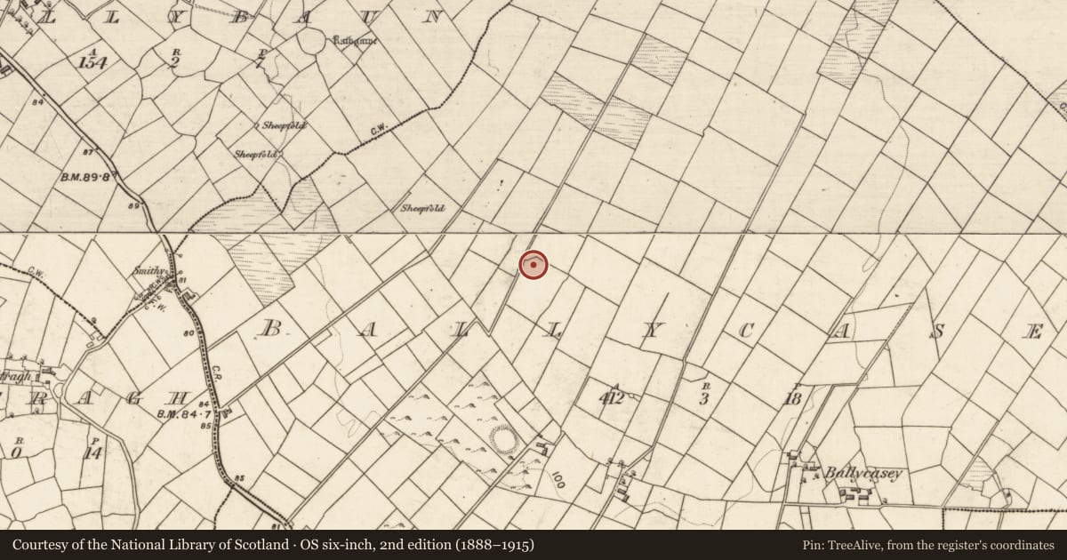 Ordnance Survey six-inch map, 2nd edition (1888–1915) covering the location of Enclosure, Ballycasey, County Galway, with a pin at the register's coordinates