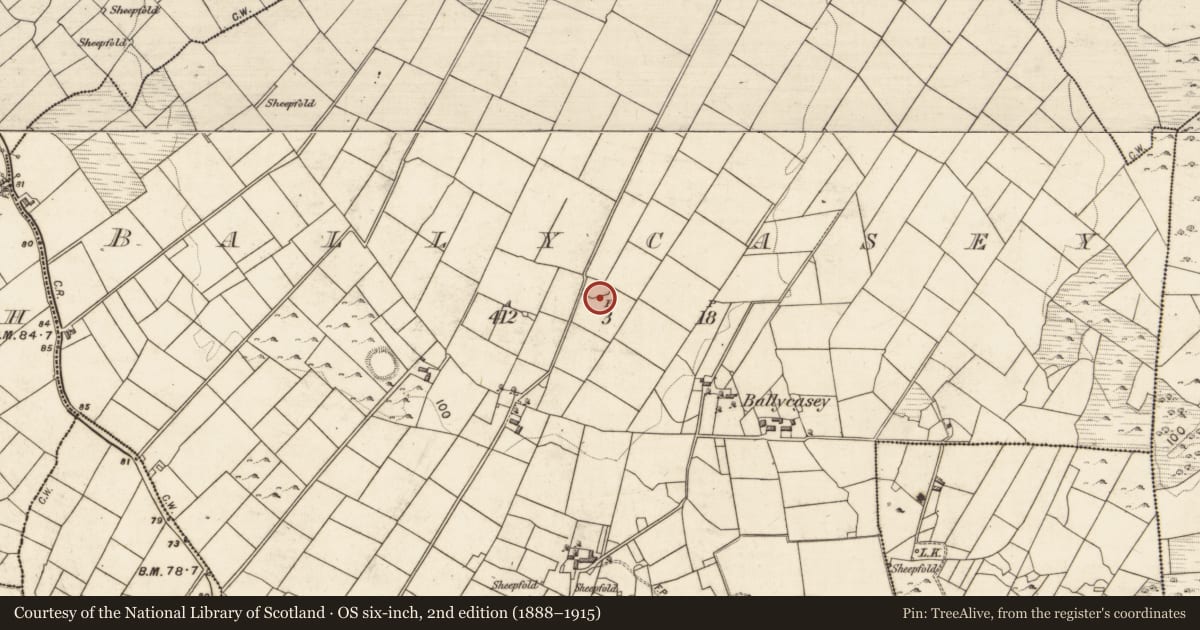 Ordnance Survey six-inch map, 2nd edition (1888–1915) covering the location of Enclosure, Ballycasey, County Galway, with a pin at the register's coordinates