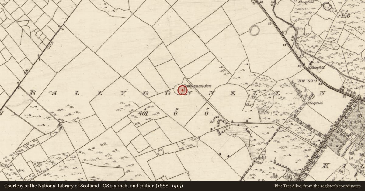 Ordnance Survey six-inch map, 2nd edition (1888–1915) covering the location of Ringfort - unclassified, Ballydonnellan, County Galway, with a pin at the register's coordinates