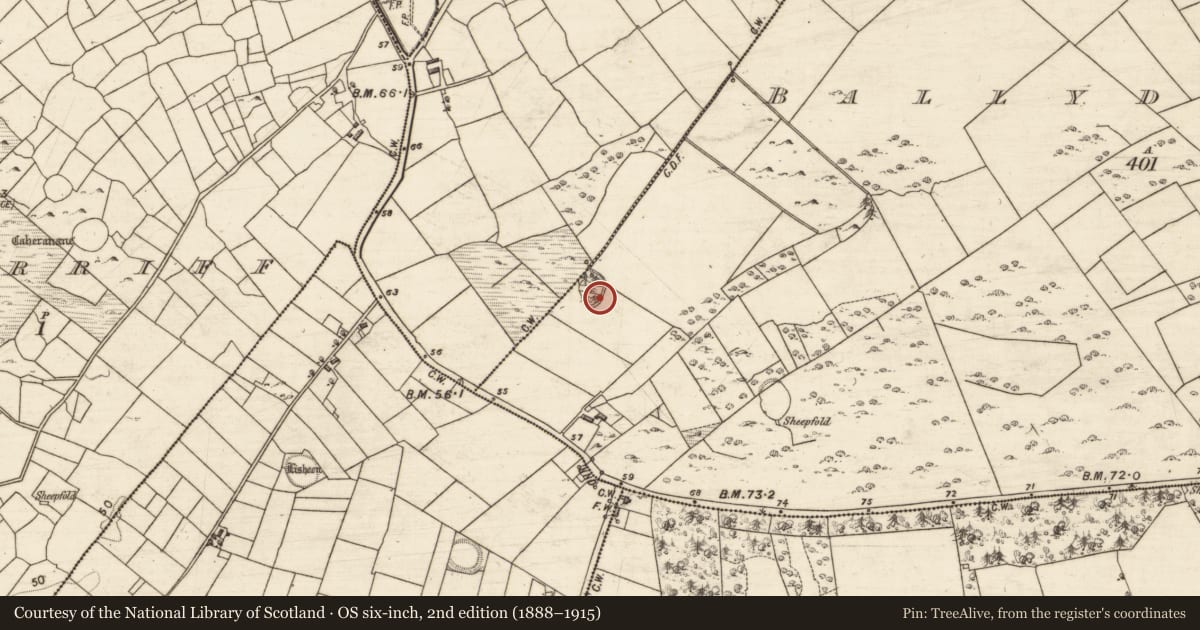 Ordnance Survey six-inch map, 2nd edition (1888–1915) covering the location of Ringfort - unclassified, Ballydonnellan, County Galway, with a pin at the register's coordinates