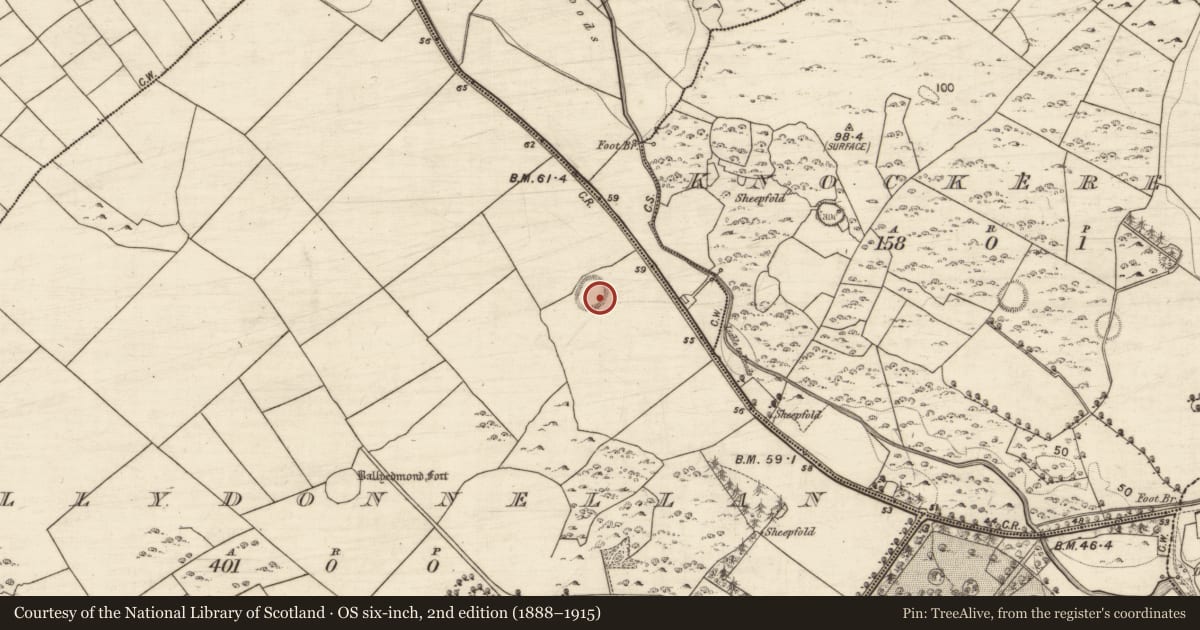 Ordnance Survey six-inch map, 2nd edition (1888–1915) covering the location of Ringfort - unclassified, Ballydonnellan, County Galway, with a pin at the register's coordinates