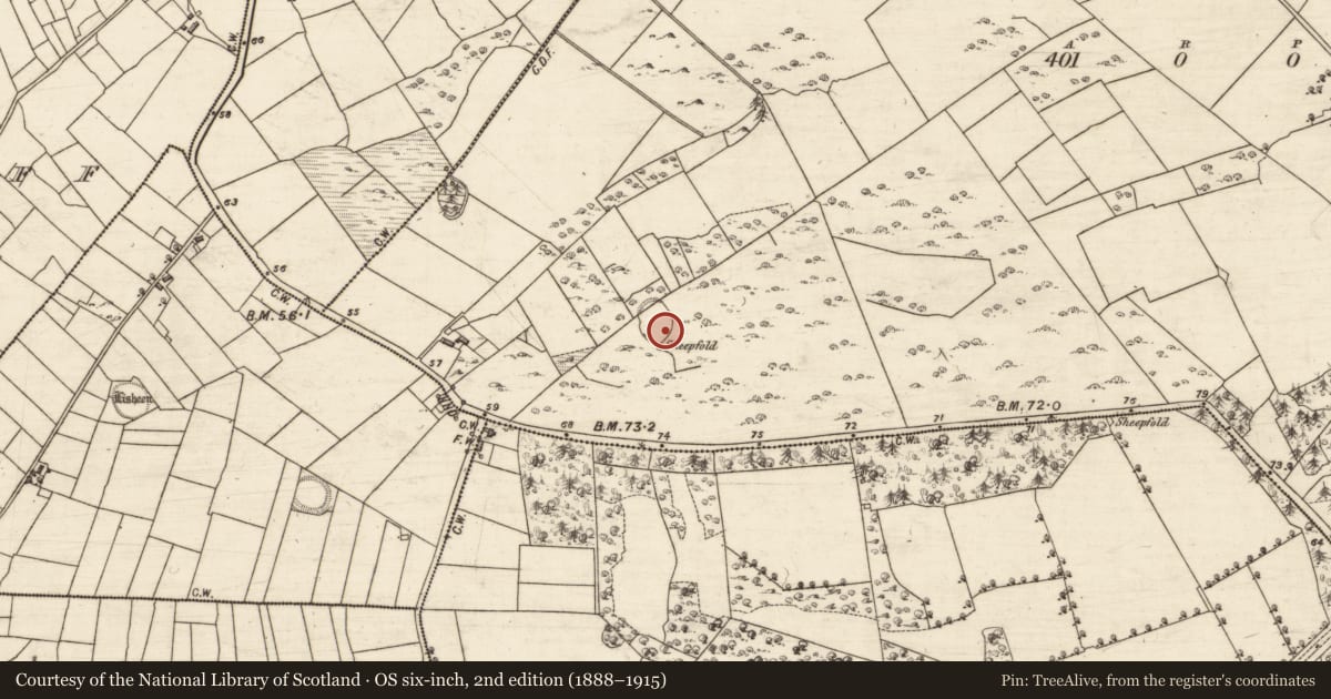 Ordnance Survey six-inch map, 2nd edition (1888–1915) covering the location of Ringfort - unclassified, Ballydonnellan, County Galway, with a pin at the register's coordinates