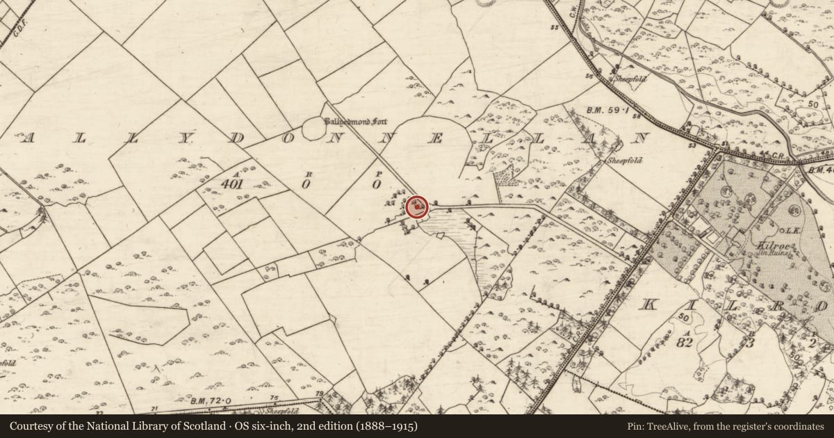 Ordnance Survey six-inch map, 2nd edition (1888–1915) covering the location of Sweathouse, Ballydonnellan, County Galway, with a pin at the register's coordinates