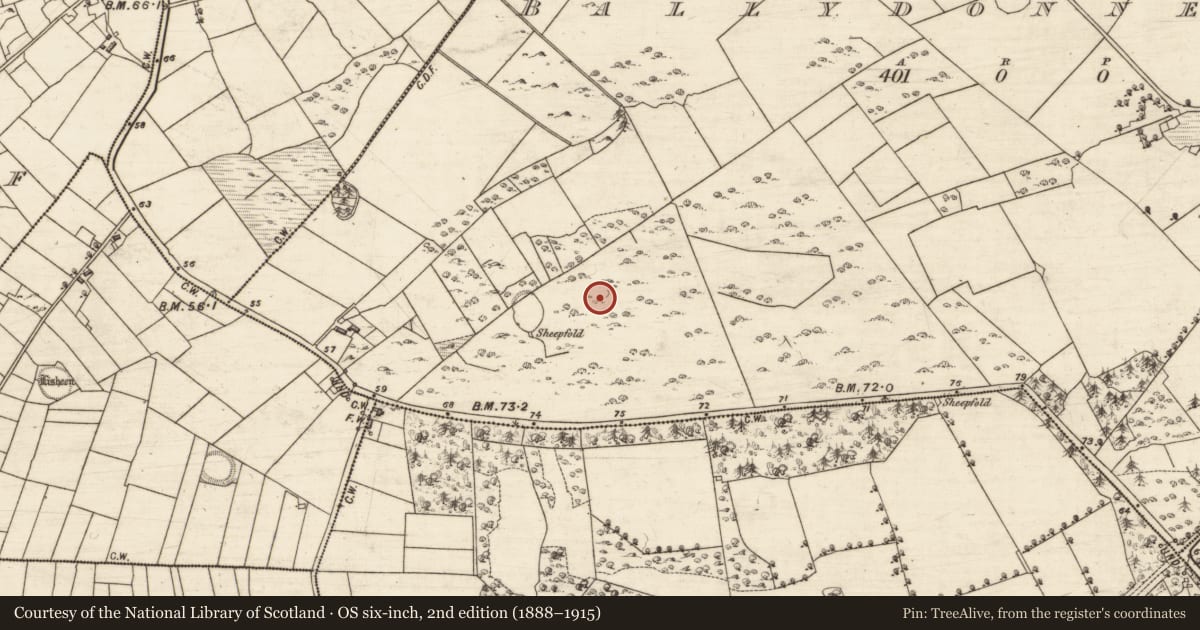 Ordnance Survey six-inch map, 2nd edition (1888–1915) covering the location of House - indeterminate date, Ballydonnellan, County Galway, with a pin at the register's coordinates