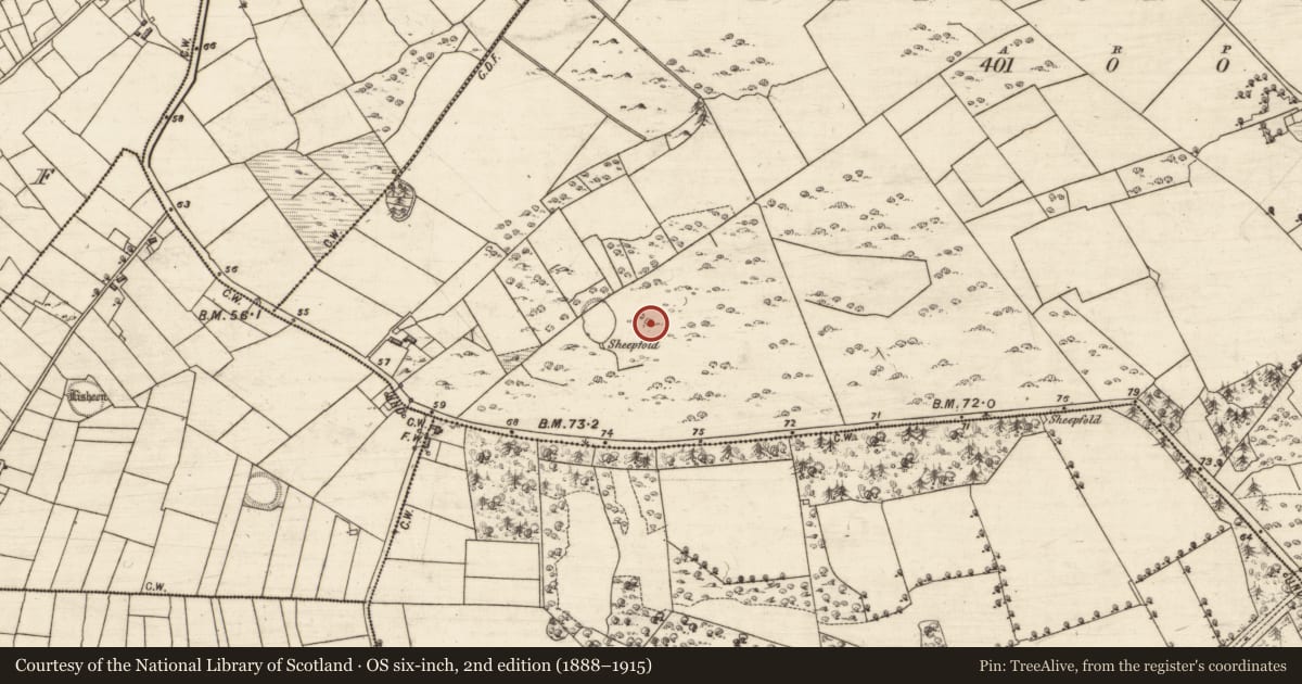Ordnance Survey six-inch map, 2nd edition (1888–1915) covering the location of House - indeterminate date, Ballydonnellan, County Galway, with a pin at the register's coordinates