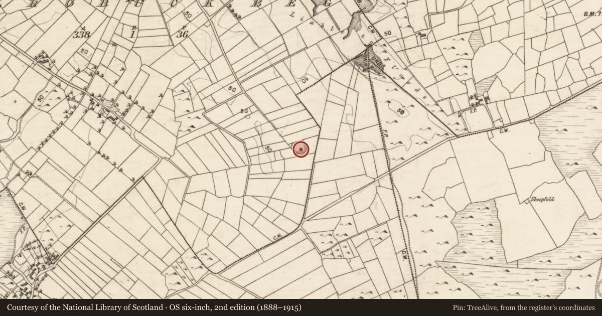Ordnance Survey six-inch map, 2nd edition (1888–1915) covering the location of Ringfort - unclassified, Balrobuck Beg, County Galway, with a pin at the register's coordinates