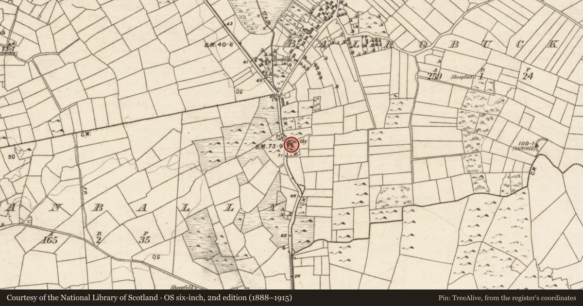 Ordnance Survey six-inch map, 2nd edition (1888–1915) covering the location of Forge, Balrobuck More, Shanbally, County Galway, with a pin at the register's coordinates