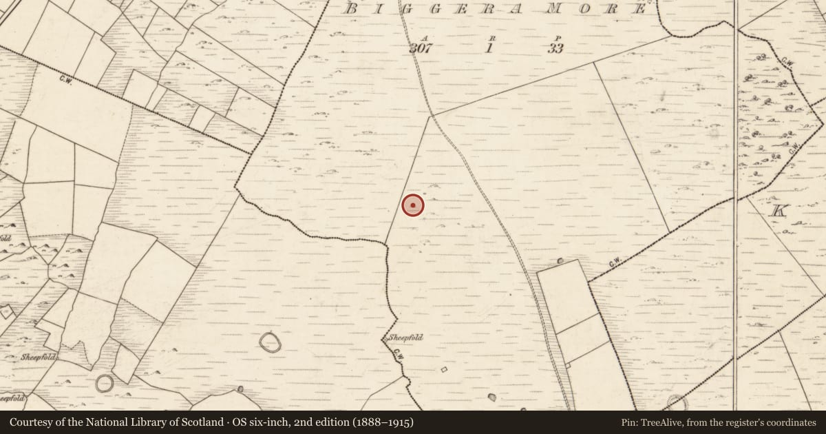 Ordnance Survey six-inch map, 2nd edition (1888–1915) covering the location of Ringfort - unclassified, Biggera More, County Galway, with a pin at the register's coordinates