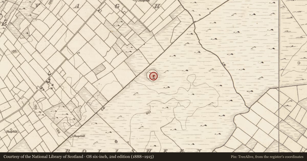 Ordnance Survey six-inch map, 2nd edition (1888–1915) covering the location of Ringfort - cashel, Bolisheen, County Galway, with a pin at the register's coordinates