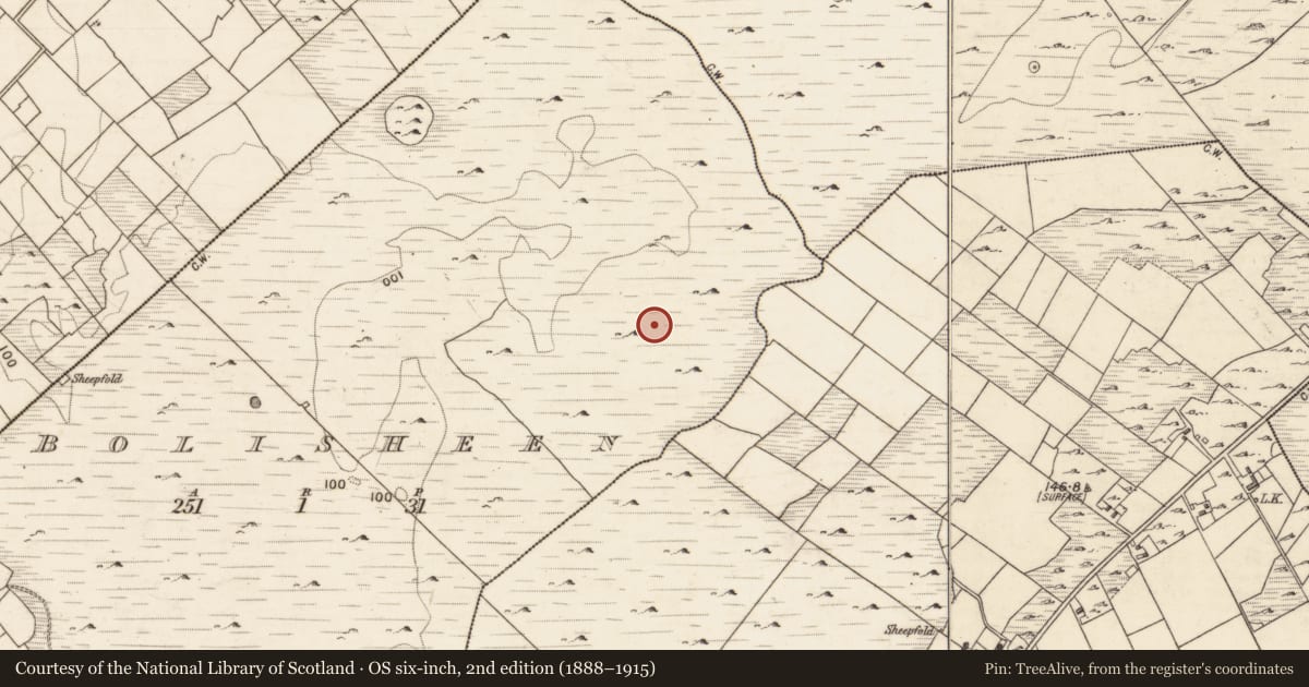 Ordnance Survey six-inch map, 2nd edition (1888–1915) covering the location of Ringfort - cashel, Bolisheen, County Galway, with a pin at the register's coordinates