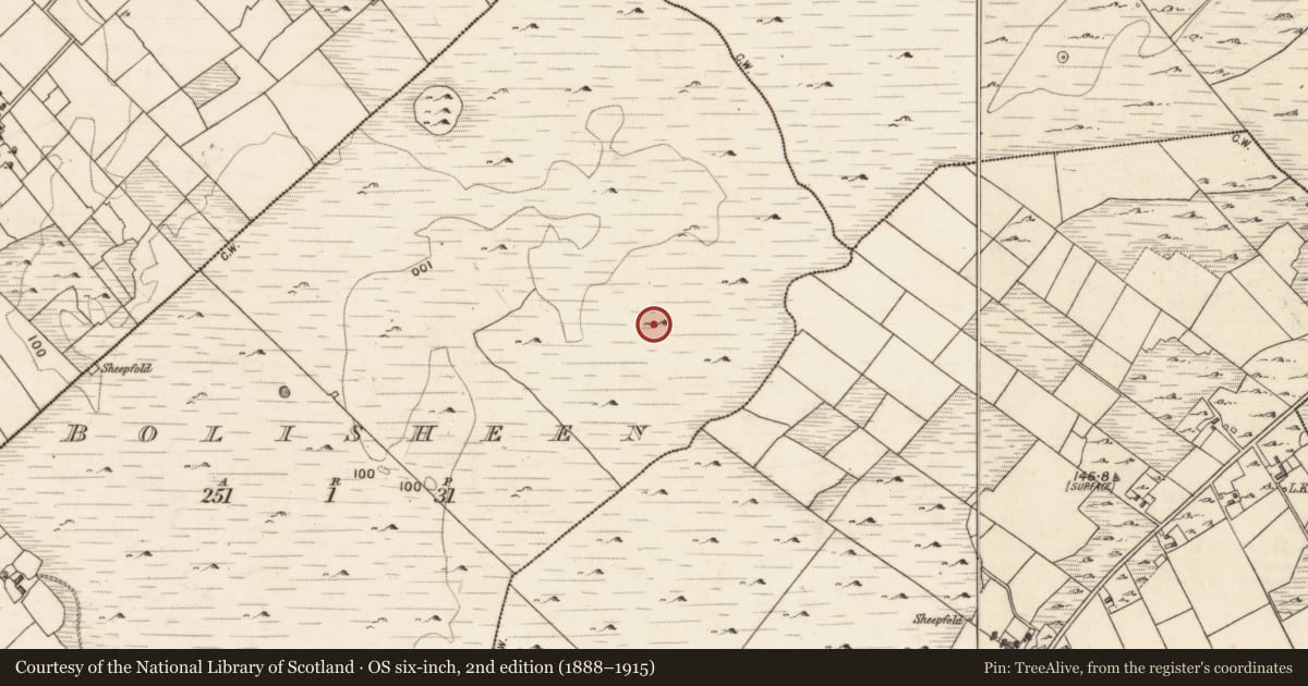 Ordnance Survey six-inch map, 2nd edition (1888–1915) covering the location of Ringfort - cashel, Bolisheen, County Galway, with a pin at the register's coordinates