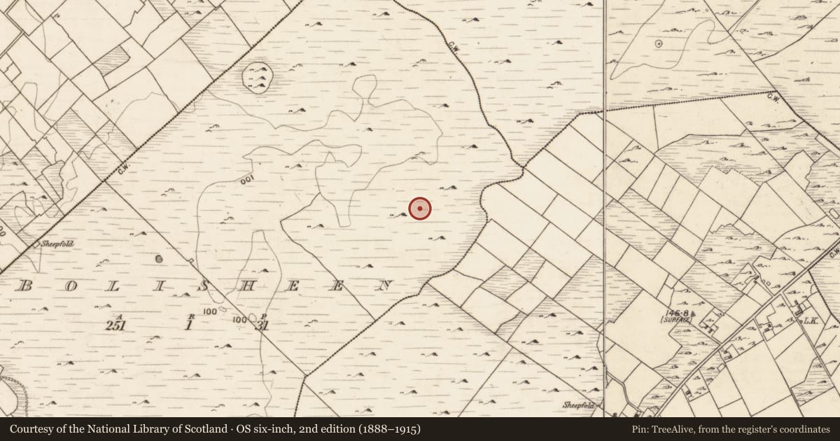 Ordnance Survey six-inch map, 2nd edition (1888–1915) covering the location of House - indeterminate date, Bolisheen, County Galway, with a pin at the register's coordinates