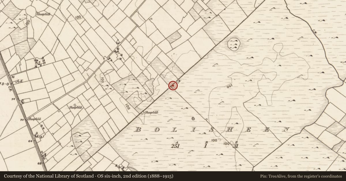 Ordnance Survey six-inch map, 2nd edition (1888–1915) covering the location of Ringfort - cashel, Bolisheen, County Galway, with a pin at the register's coordinates