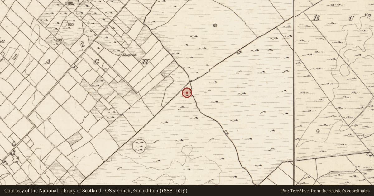 Ordnance Survey six-inch map, 2nd edition (1888–1915) covering the location of Megalithic structure, Bolisheen, County Galway, with a pin at the register's coordinates