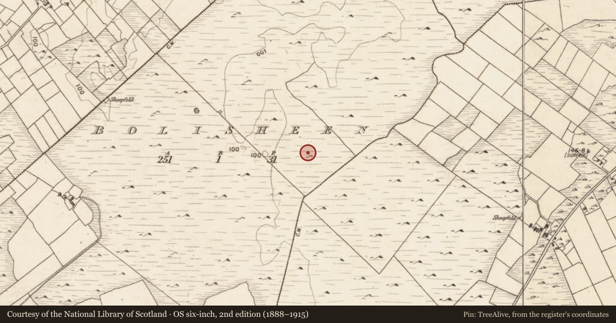 Ordnance Survey six-inch map, 2nd edition (1888–1915) covering the location of Ringfort - cashel, Bolisheen, County Galway, with a pin at the register's coordinates