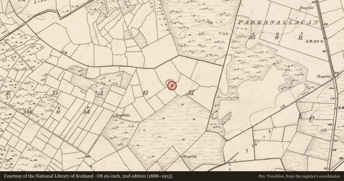 Ordnance Survey six-inch map, 2nd edition (1888–1915) covering the location of Enclosure, Bredagh, County Galway, with a pin at the register's coordinates