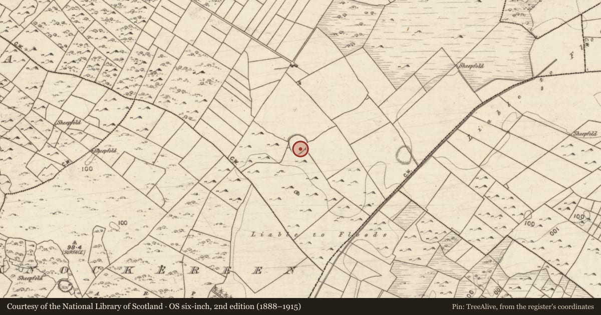 Ordnance Survey six-inch map, 2nd edition (1888–1915) covering the location of Ringfort - unclassified, Bredagh, County Galway, with a pin at the register's coordinates