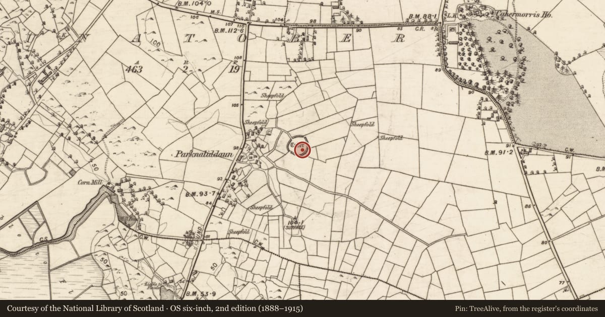 Ordnance Survey six-inch map, 2nd edition (1888–1915) covering the location of Ringfort - unclassified, Bunatober, County Galway, with a pin at the register's coordinates