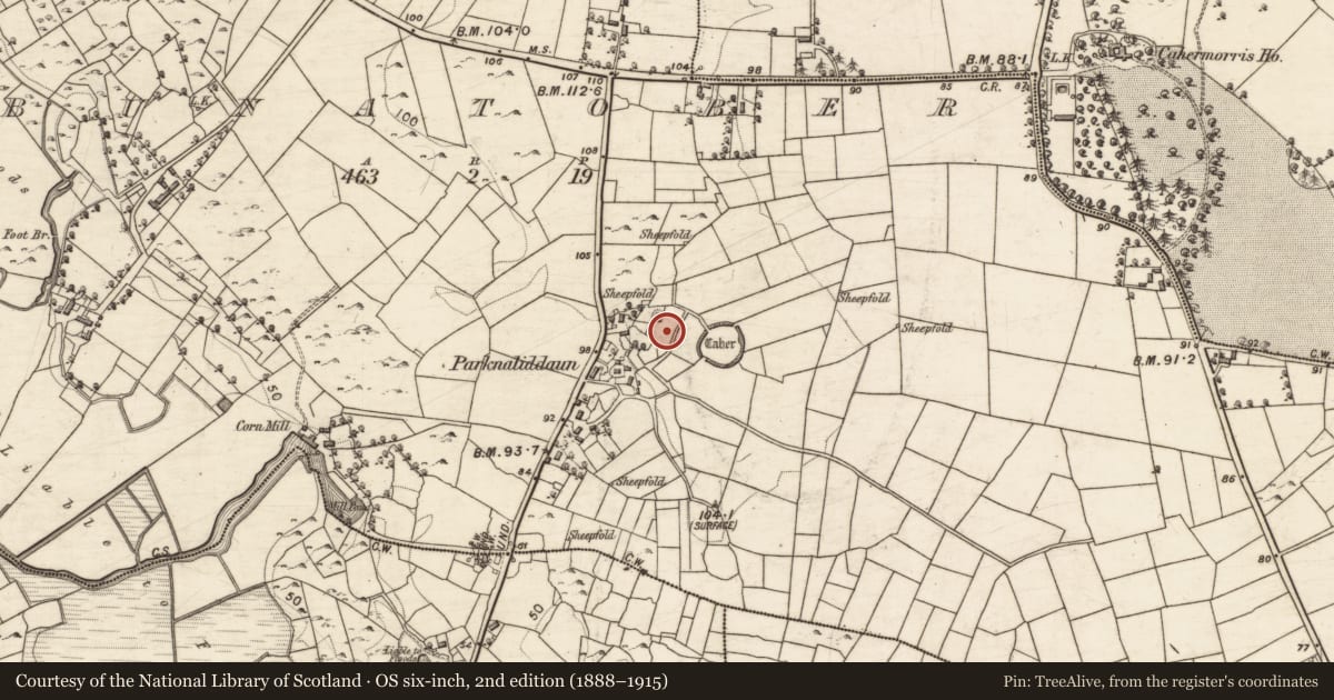 Ordnance Survey six-inch map, 2nd edition (1888–1915) covering the location of Earthwork, Bunatober, County Galway, with a pin at the register's coordinates