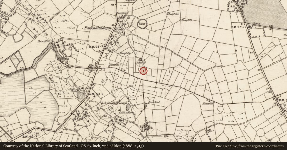 Ordnance Survey six-inch map, 2nd edition (1888–1915) covering the location of Ringfort - unclassified, Bunatober, County Galway, with a pin at the register's coordinates
