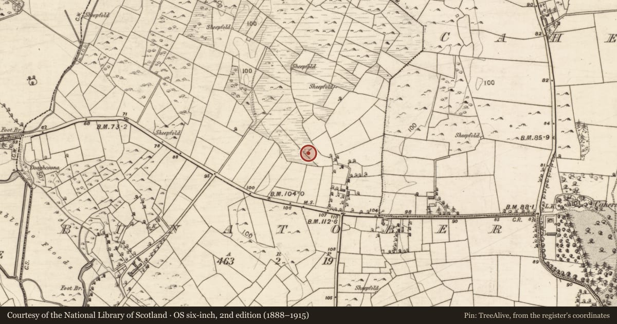 Ordnance Survey six-inch map, 2nd edition (1888–1915) covering the location of Earthwork, Bunatober, County Galway, with a pin at the register's coordinates