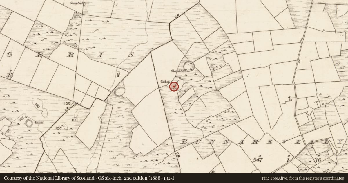 Ordnance Survey six-inch map, 2nd edition (1888–1915) covering the location of Enclosure, Bunnahevelly More, County Galway, with a pin at the register's coordinates