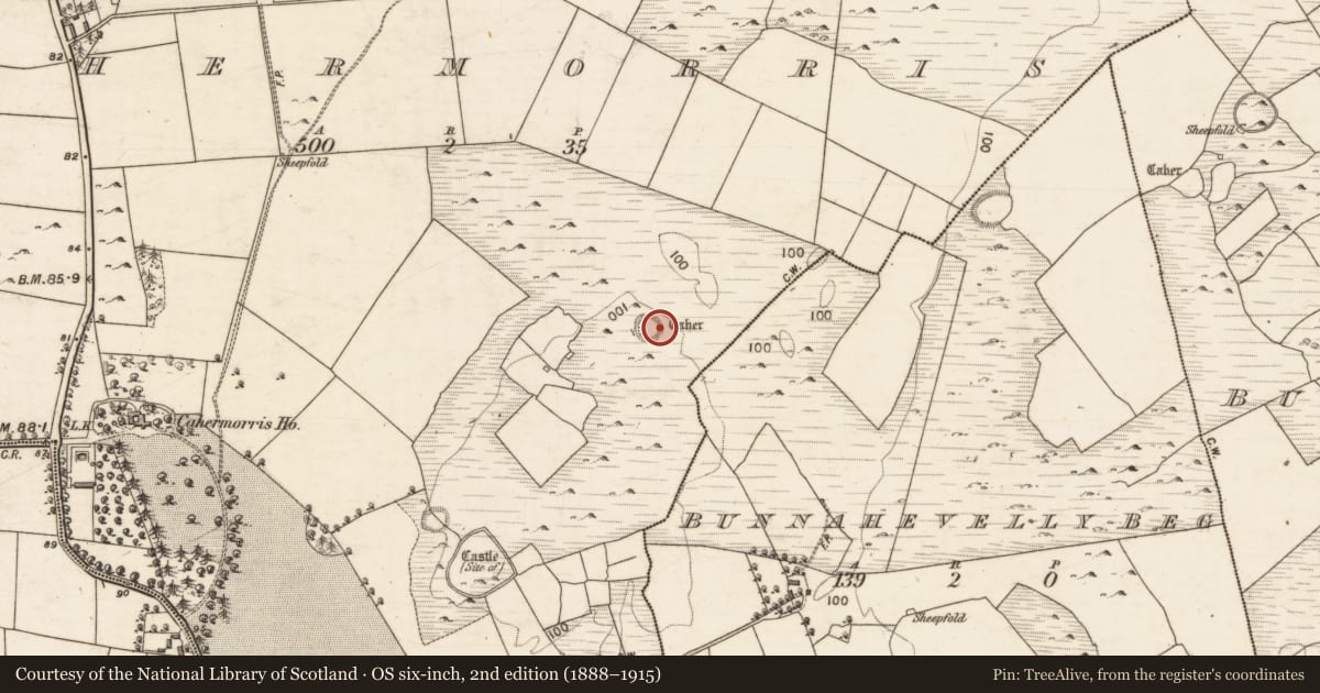 Ordnance Survey six-inch map, 2nd edition (1888–1915) covering the location of Souterrain, Cahermorris, County Galway, with a pin at the register's coordinates