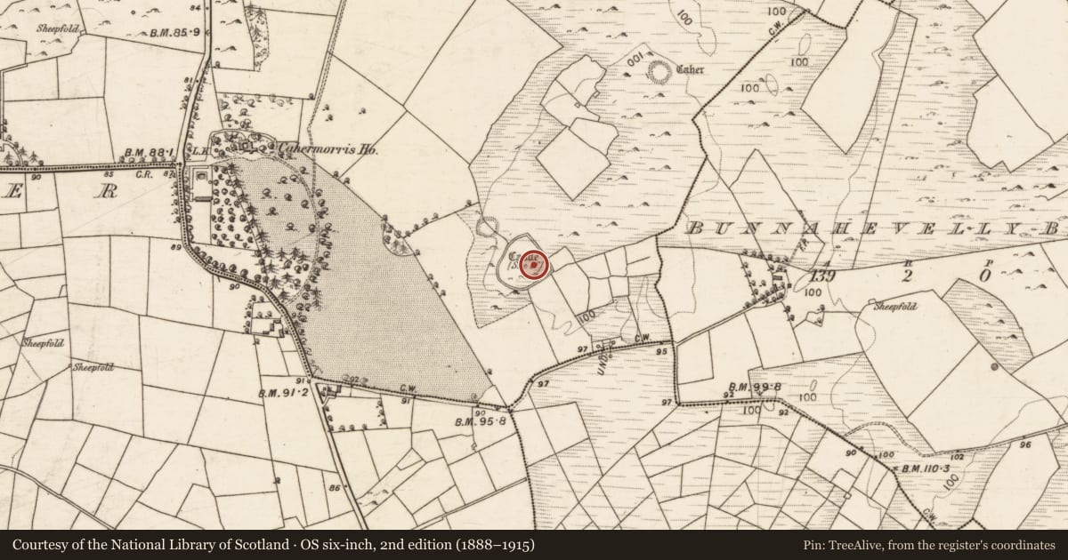 Ordnance Survey six-inch map, 2nd edition (1888–1915) covering the location of Enclosure - large enclosure, Cahermorris, County Galway, with a pin at the register's coordinates