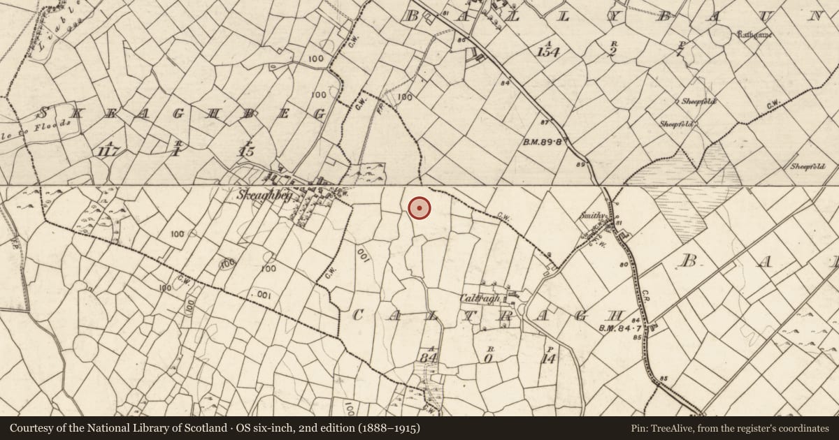 Ordnance Survey six-inch map, 2nd edition (1888–1915) covering the location of Children's burial ground, Caltragh, County Galway, with a pin at the register's coordinates