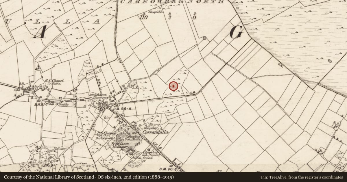 Ordnance Survey six-inch map, 2nd edition (1888–1915) covering the location of House - indeterminate date, Carrowbeg North, County Galway, with a pin at the register's coordinates