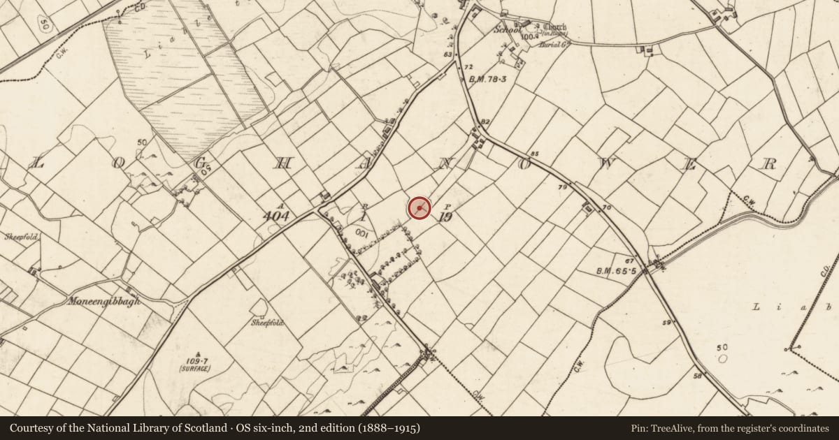 Ordnance Survey six-inch map, 2nd edition (1888–1915) covering the location of Ringfort - unclassified, Cloghanower, County Galway, with a pin at the register's coordinates