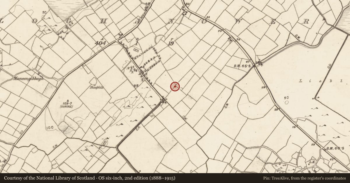 Ordnance Survey six-inch map, 2nd edition (1888–1915) covering the location of Ringfort - rath, Cloghanower, County Galway, with a pin at the register's coordinates