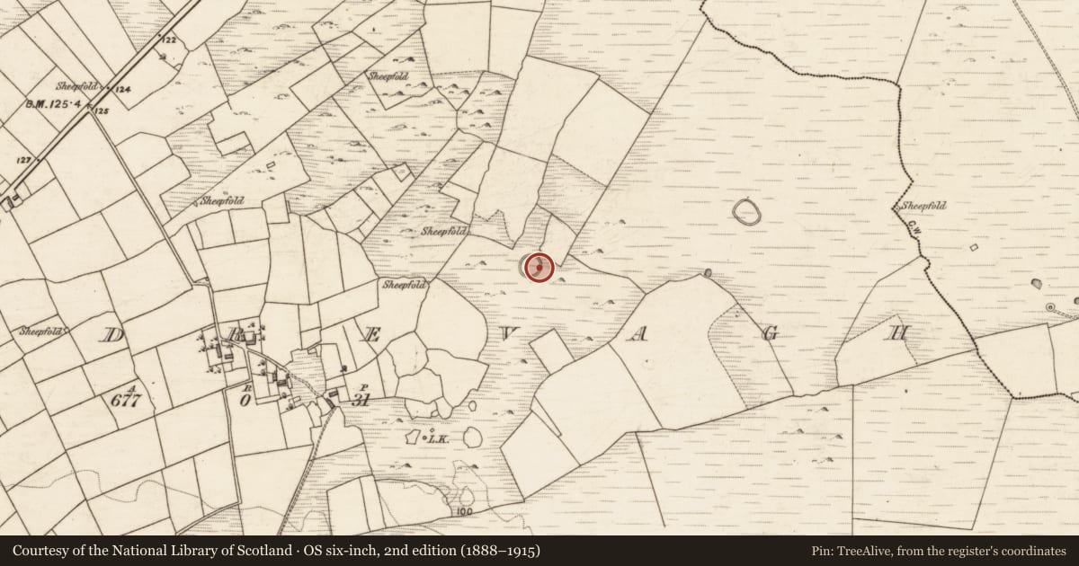 Ordnance Survey six-inch map, 2nd edition (1888–1915) covering the location of Ringfort - unclassified, Cluidrevagh, County Galway, with a pin at the register's coordinates