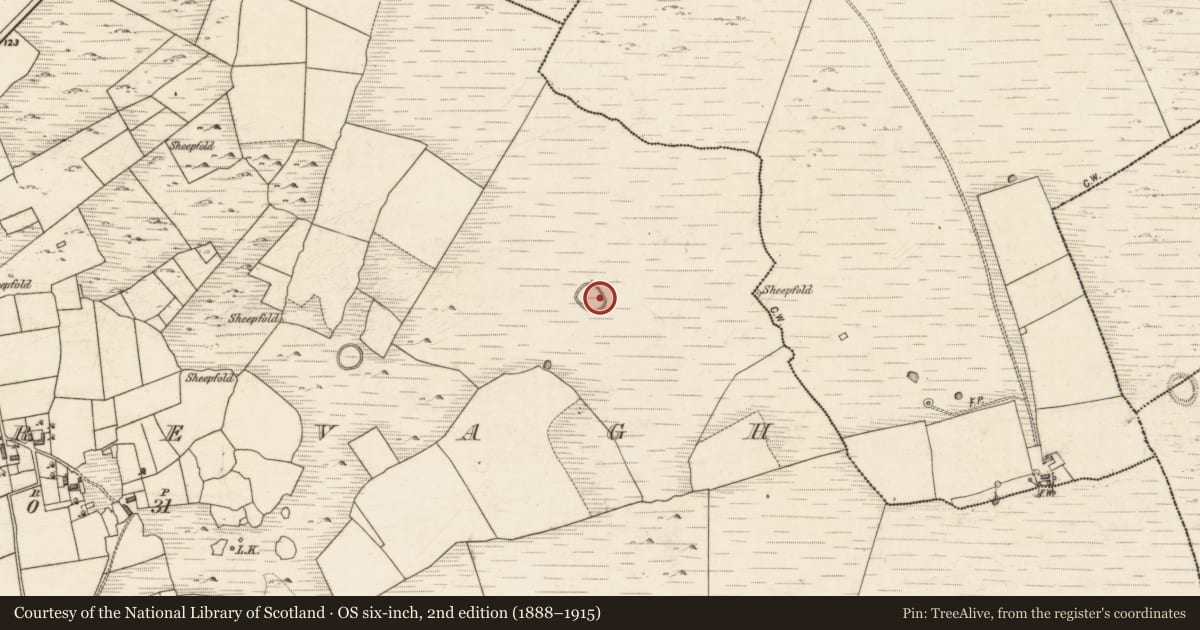 Ordnance Survey six-inch map, 2nd edition (1888–1915) covering the location of Ringfort - unclassified, Cluidrevagh, County Galway, with a pin at the register's coordinates